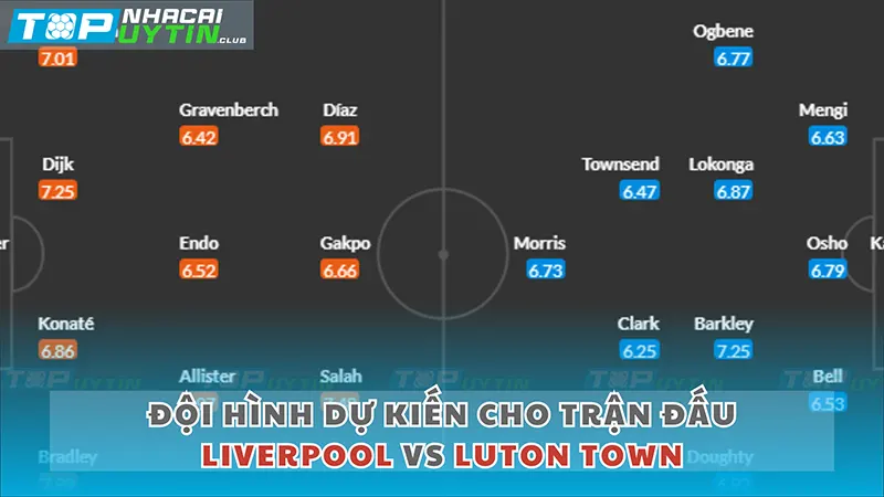 Đội hình dự kiến cho trận đấu Liverpool vs Luton Town