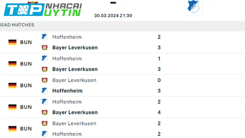 Lịch sử đối đầu Leverkusen vs Hoffenheim