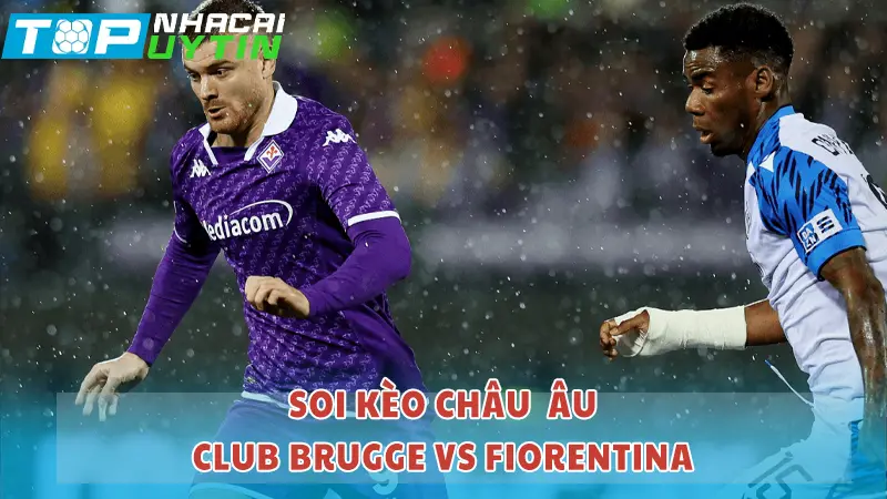 Soi kèo Châu Âu Club Brugge vs Fiorentina