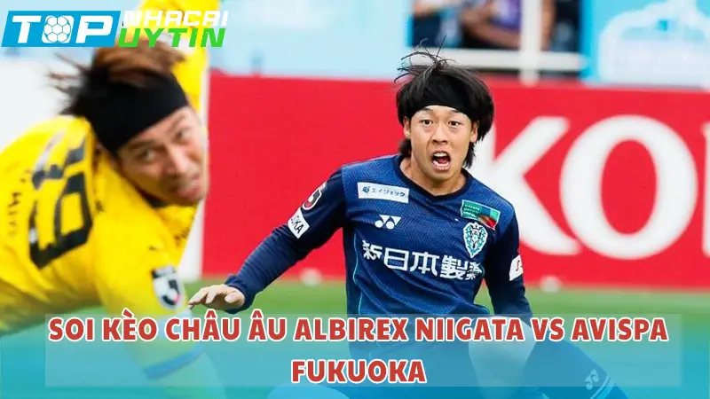 Soi kèo Châu Âu Albirex Niigata vs Avispa Fukuoka