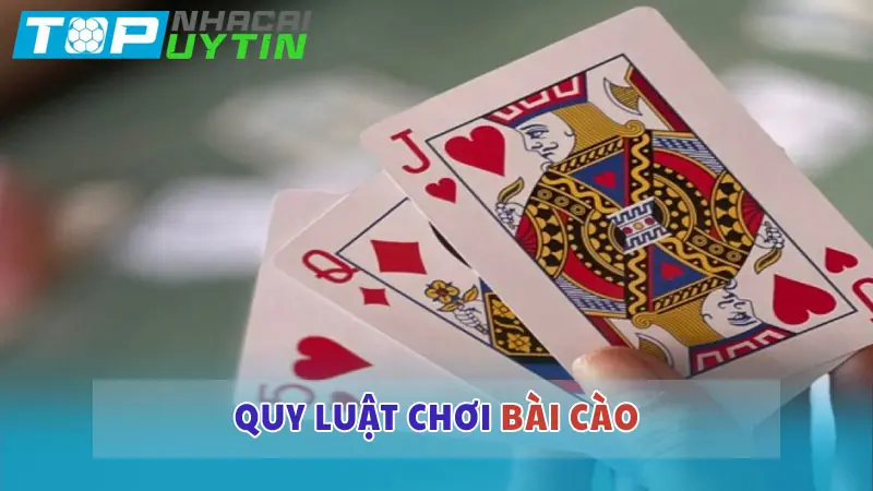 Quy luật chơi bài Cào dễ hiểu cho tân binh